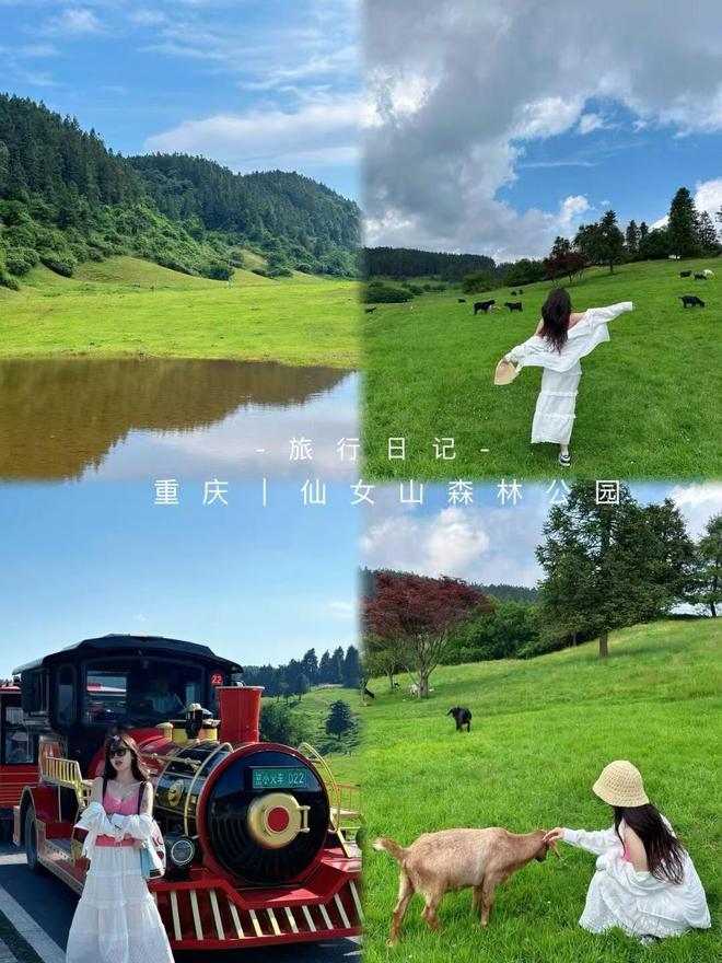 导游推荐最实惠的游玩价格分享诚心分享麻将胡了2试玩网站重庆本地旅行团报名(图2)