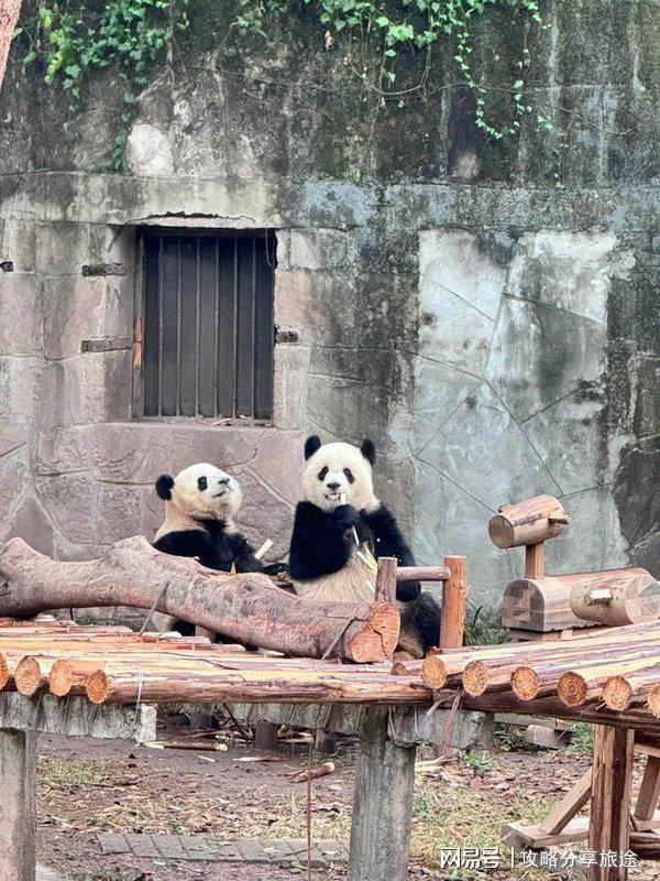 去重庆 重庆7日游游玩指南麻将胡了模拟器什么时候适合