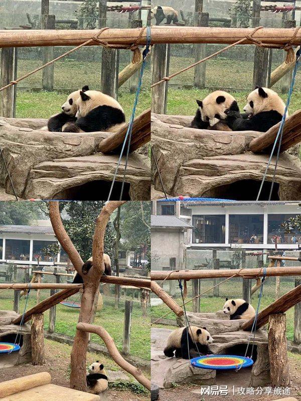 好 重庆六日游路线推荐这篇攻略告诉你麻将胡了免费试玩什么时候重庆旅游比较(图6)