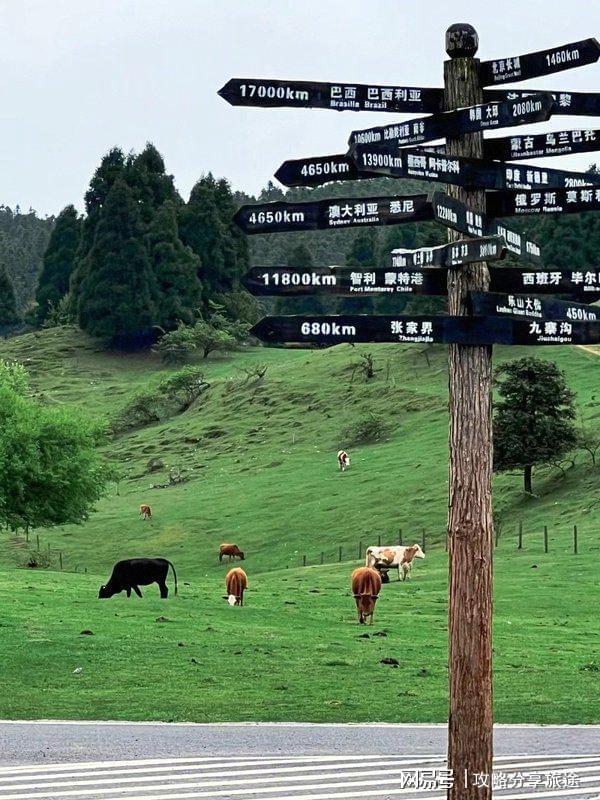 好 重庆六日游路线推荐这篇攻略告诉你麻将胡了免费试玩什么时候重庆旅游比较(图2)